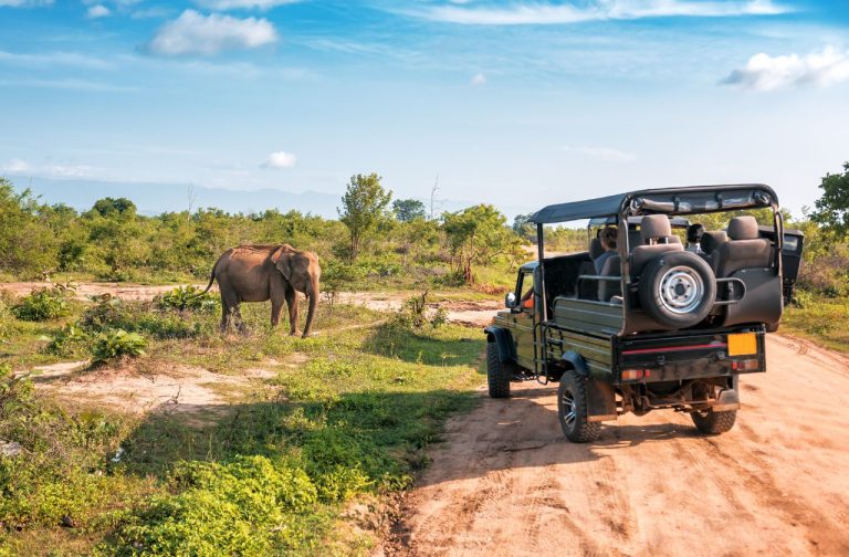 Kruger National Park Safari Tours